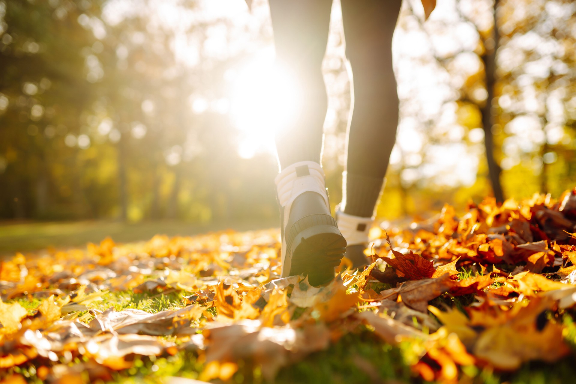 Close-up of female legs in hiking boots walks on ground with yellow-orange dry fall leaves during autumn season in park or forest.